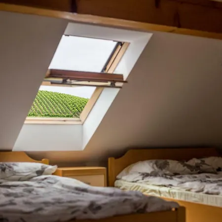 Apartman Velbana Gorca *