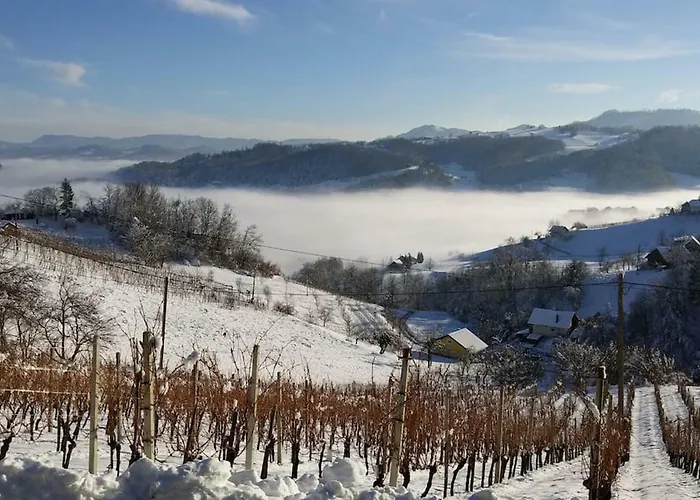 Apartment Velbana Gorca