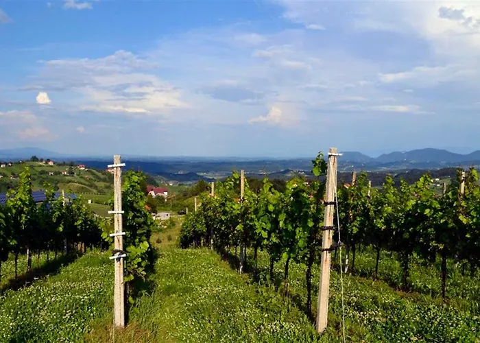 Apartment Velbana Gorca Virstanj