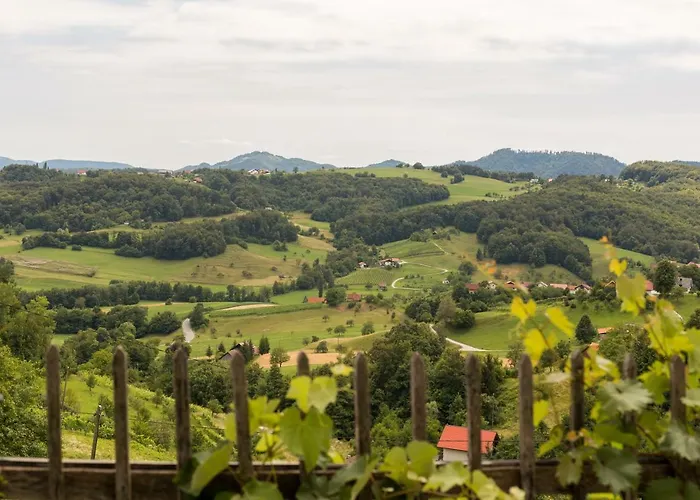 Apartment Velbana Gorca