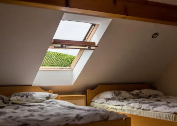 Apartment Velbana Gorca *