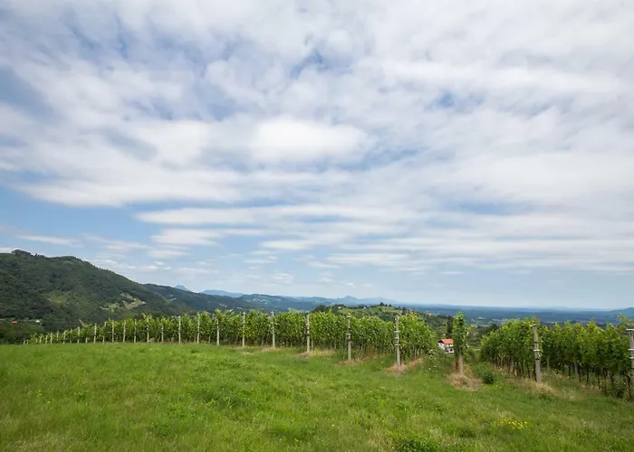 Apartment Velbana Gorca *