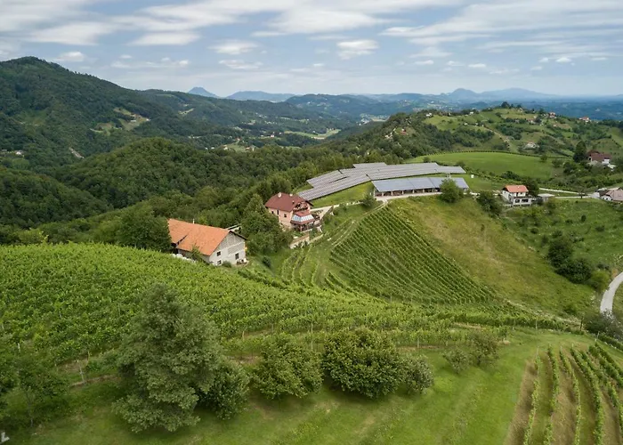 Velbana Gorca Virstanj